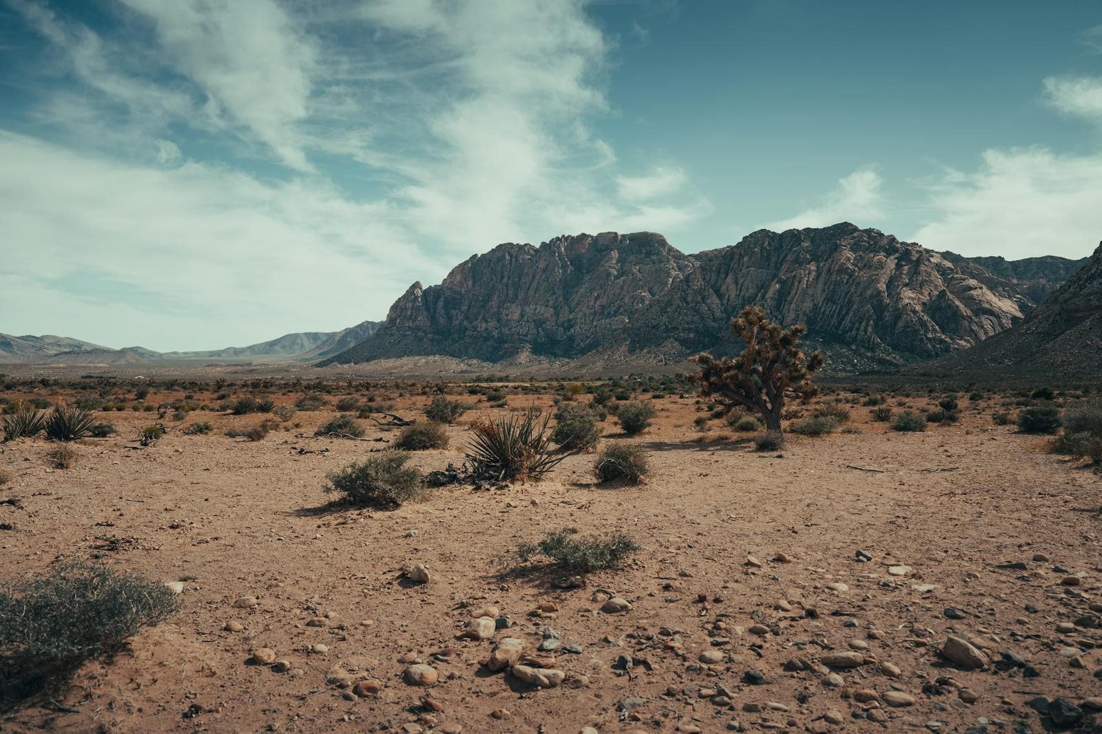 Arid Mojave Desert landscape near Las Vegas Nevada with mountains and desert vegetation