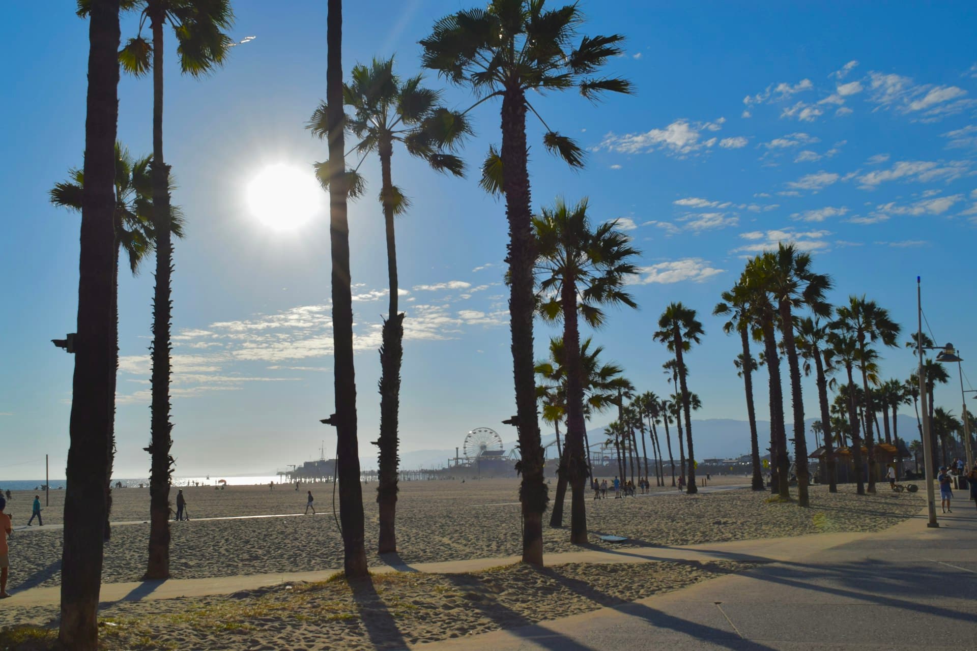 Sunny Southern California day with palm trees and bright sunshine at Santa Monica Beach