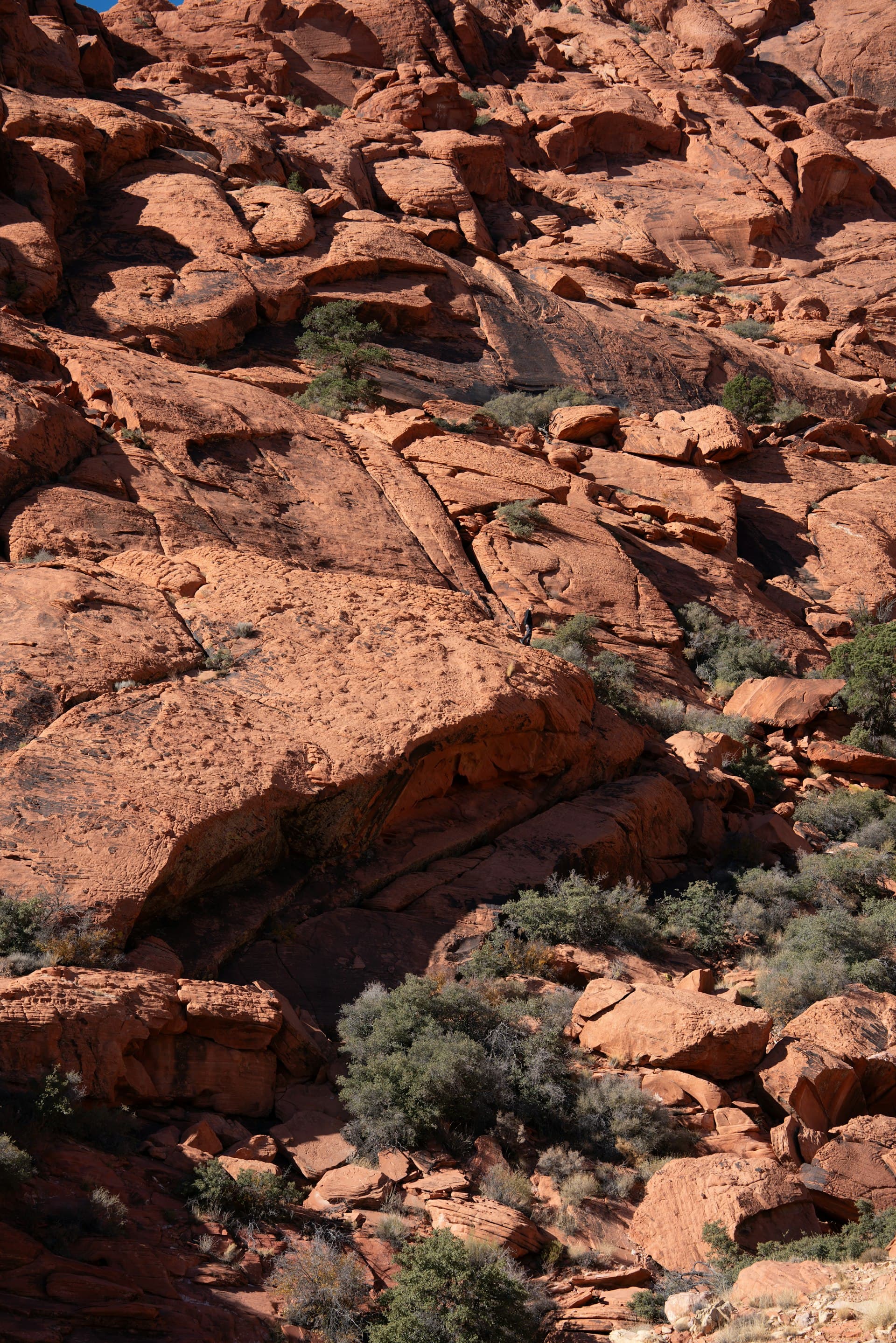 Red Rock Canyon red rock formations near Las Vegas Nevada