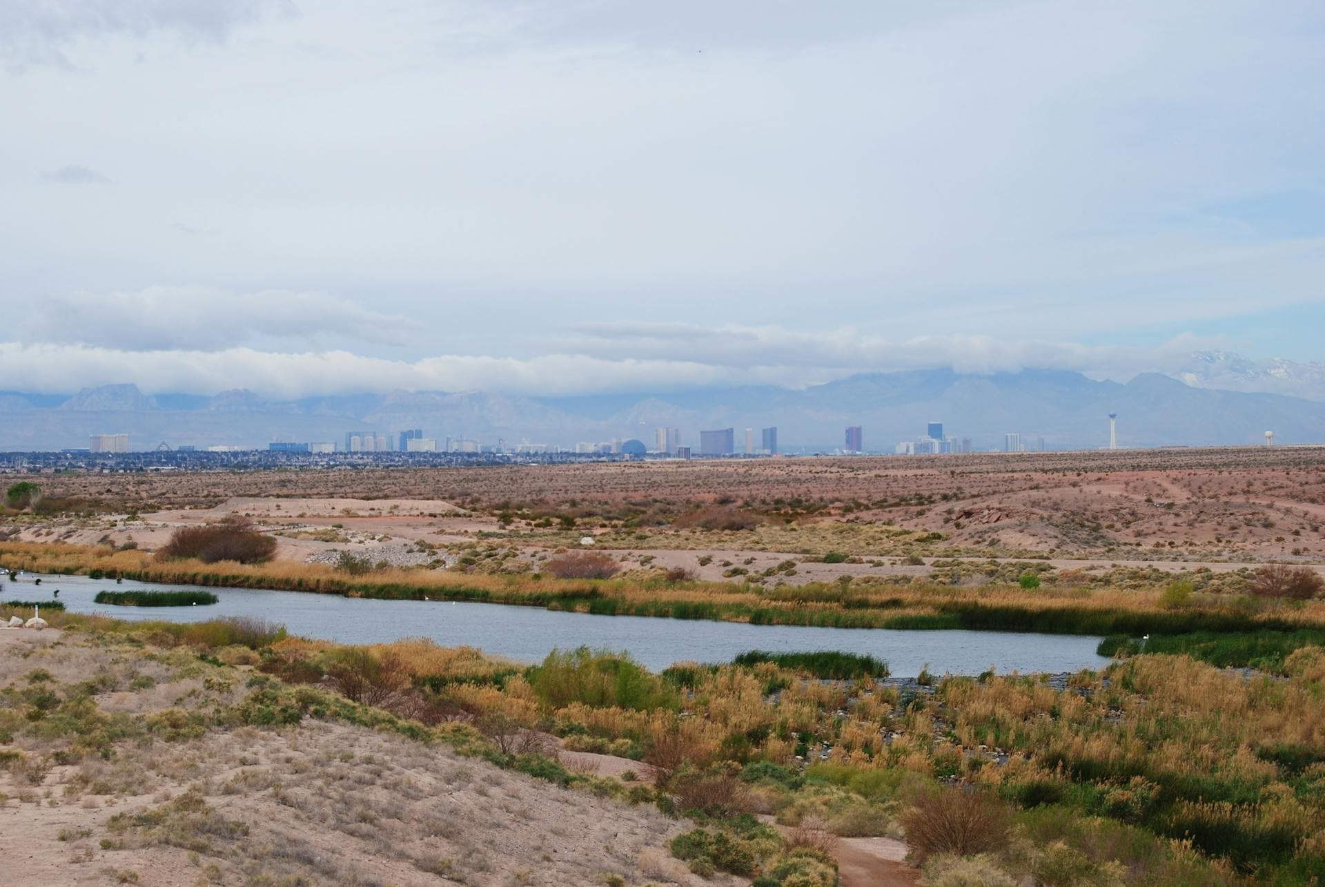 Henderson Nevada desert landscape with Las Vegas skyline and mountains in the distance
