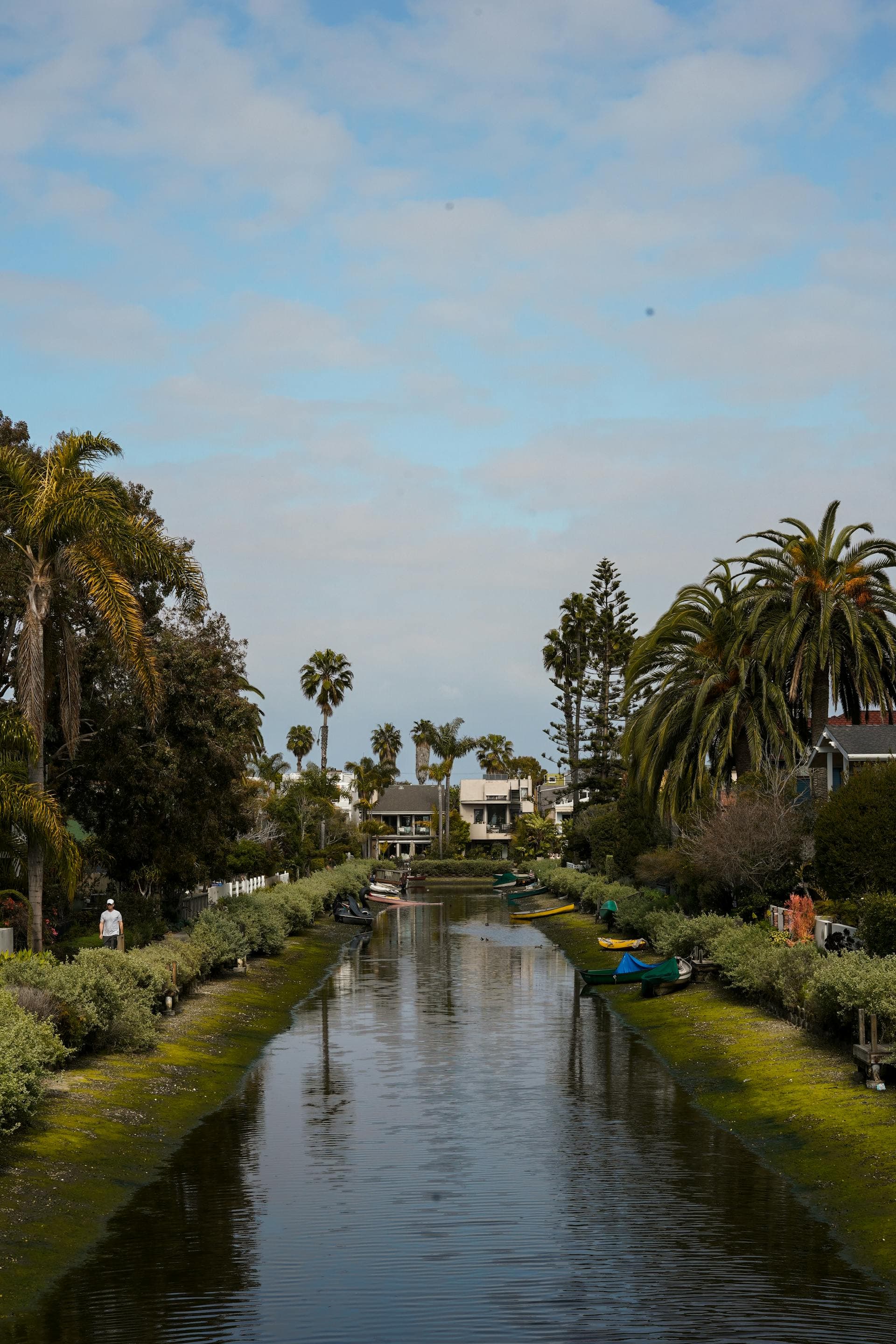Venice Canals in Los Angeles with palm trees and homes along waterway