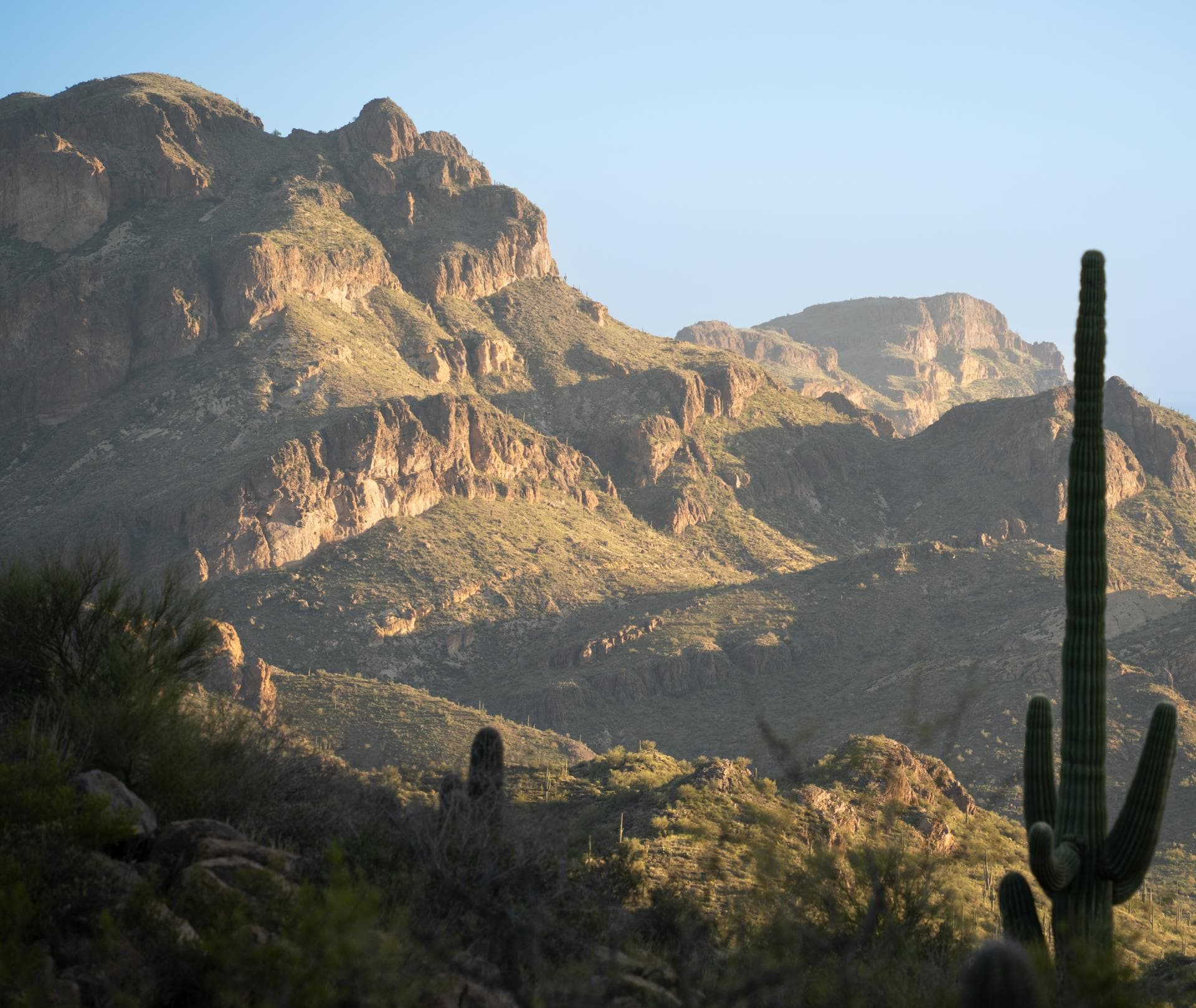 Superstition Mountains with saguaro cactus in Arizona