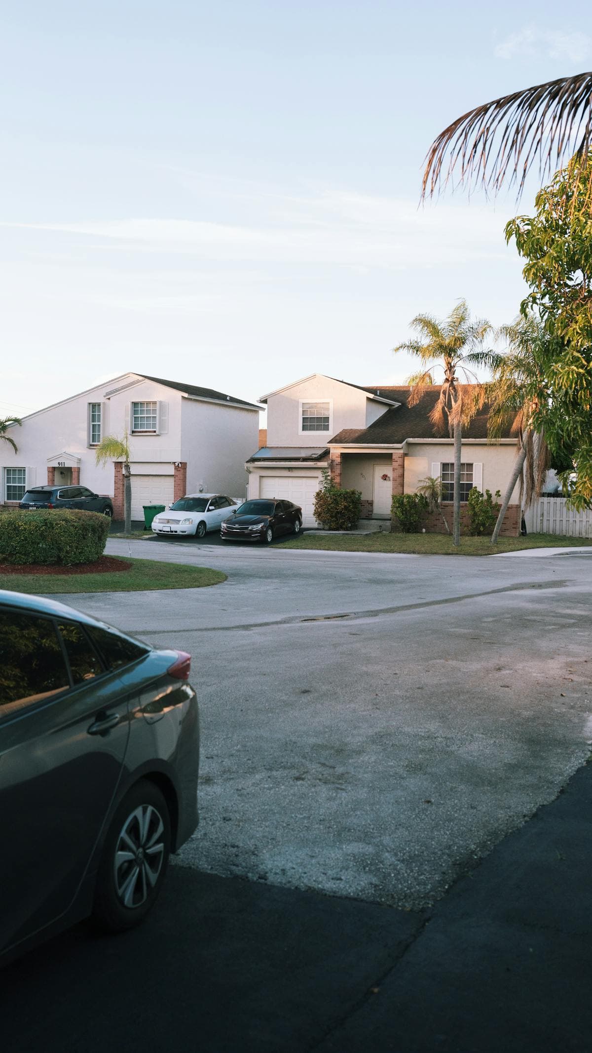 Florida suburban neighborhood with palm trees and single-family homes at sunset