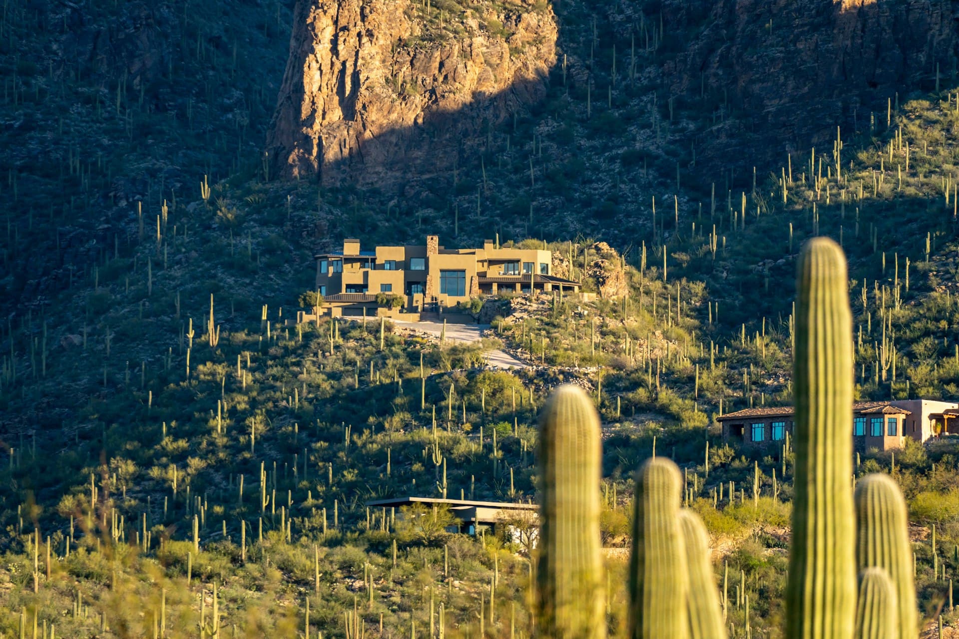 Luxury hillside home nestled among saguaro cacti in the Phoenix Arizona mountains