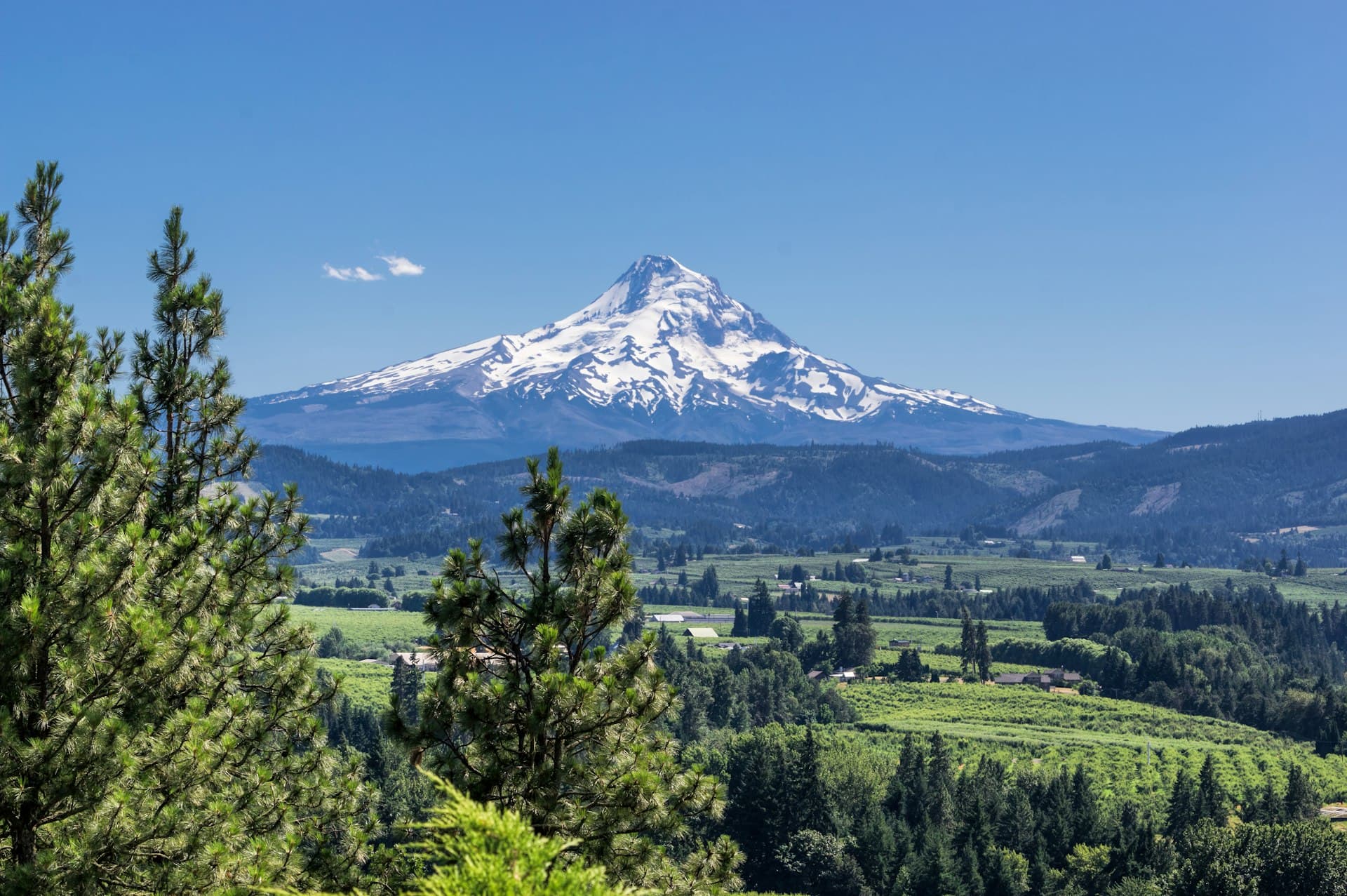 Mount Hood with snow-capped peak overlooking Hood River Valley orchards