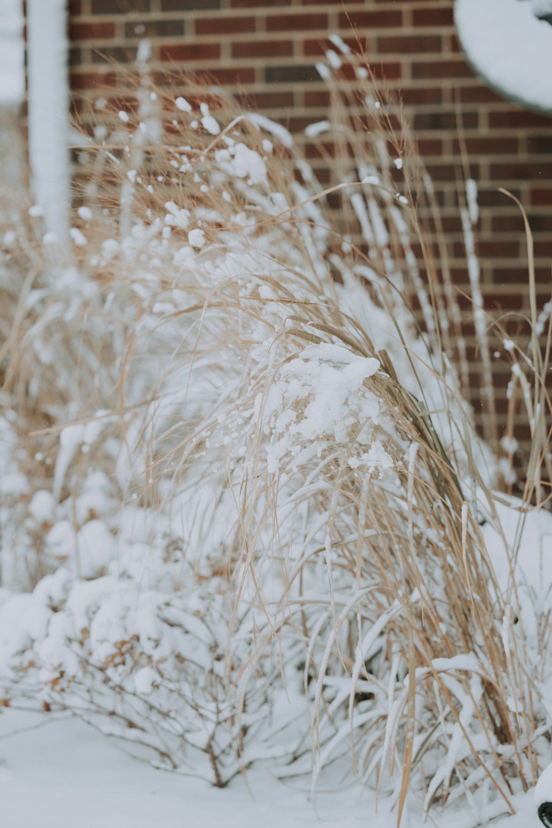 Illinois winter scene with snow-covered ground and brick building
